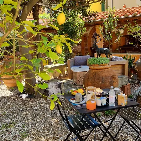 B&B Firenze 400-3